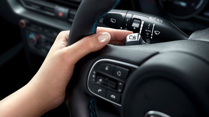 Kia E Niro